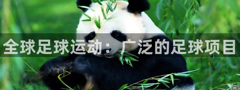 江苏星奥娱乐有限公司报名