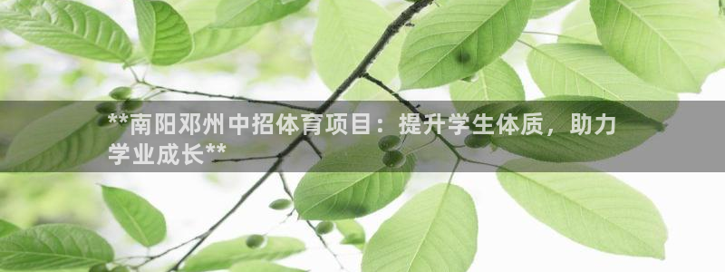 星澳娱乐公司怎么样