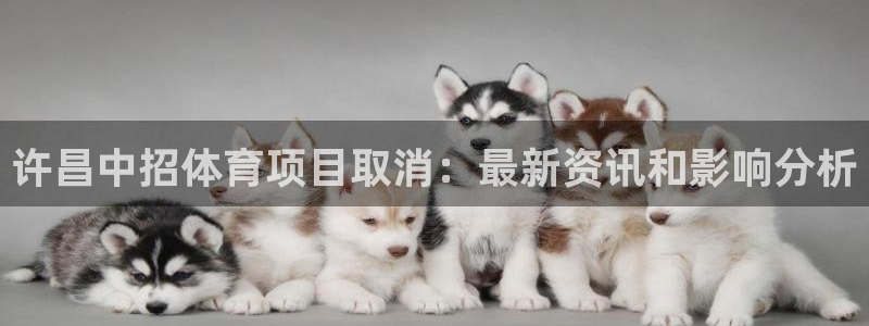 新星娱乐怎么开挂