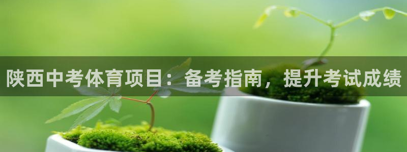 星欧娱乐官网首页