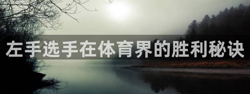 星娱乐online