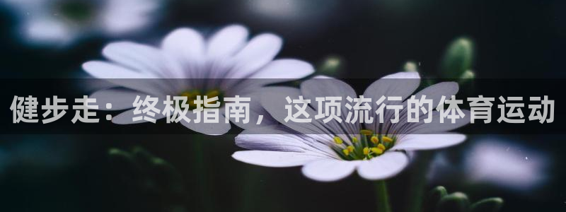 星欧娱乐属于什么档次的软件啊