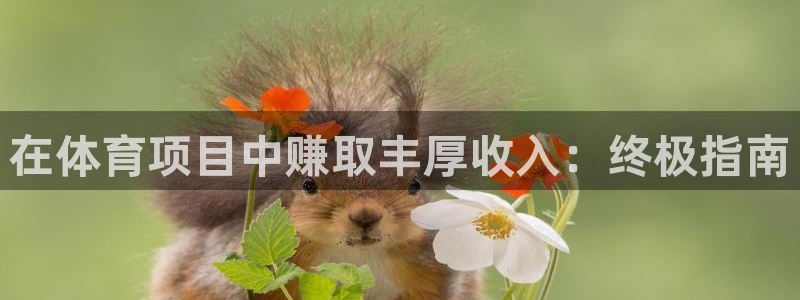 星欧娱乐工711.112怎么没有了