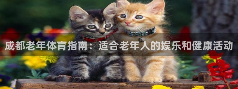 星欧娱乐挂机赚钱软件