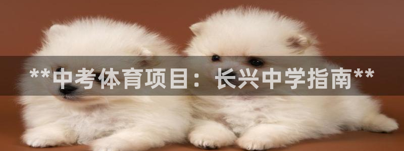 星游娱乐1官网下载