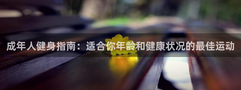 星娱乐online