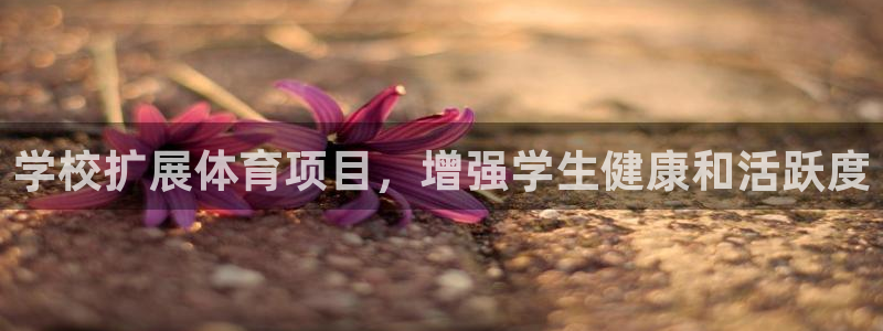 星欧娱乐是正规平台吗安全吗是真的吗