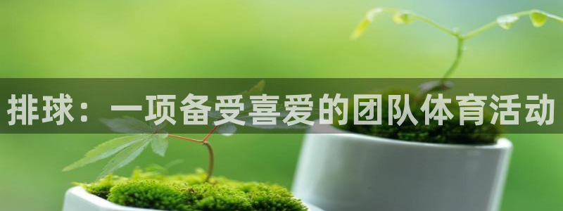 星奥娱乐招聘