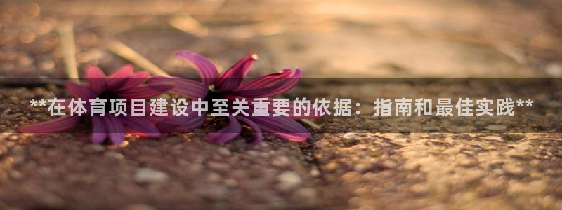 江苏星奥娱乐招艺人