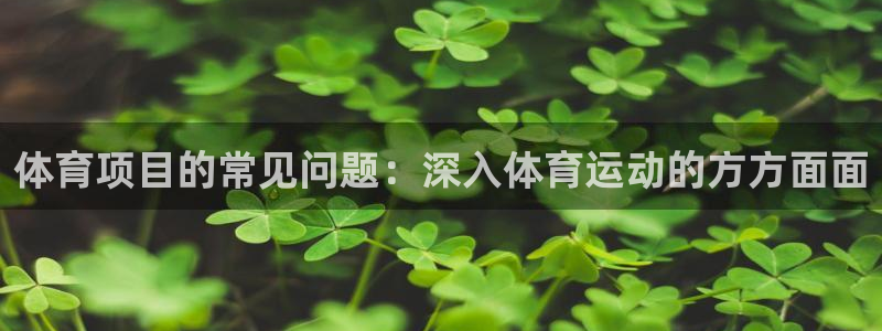星欧娱乐游戏中心官网登录