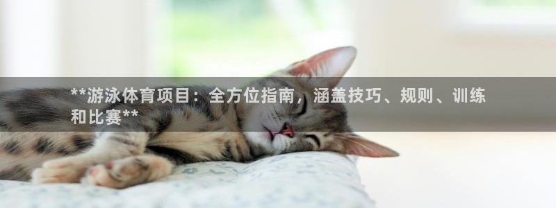 星奥娱乐旗下艺人