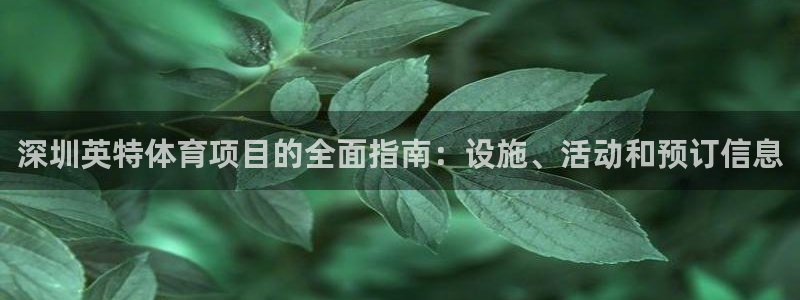 星欧娱乐的官方版本更新内容是什么