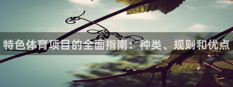 星欧娱乐扣钱步骤详解