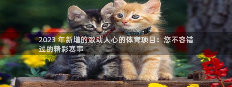 星欧娱乐公司电话号码