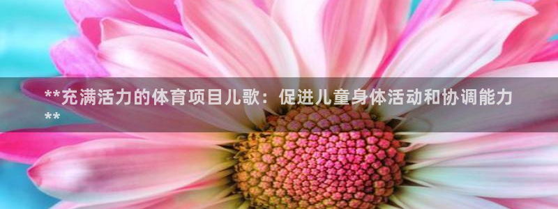 星欧娱乐扣款流程详解图片大全
