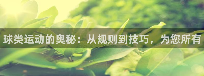 星奥娱乐集团官网