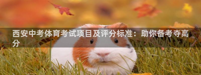 星欧娱乐退款电话人工服务