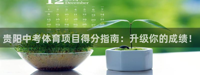 新星娱乐怎么开挂