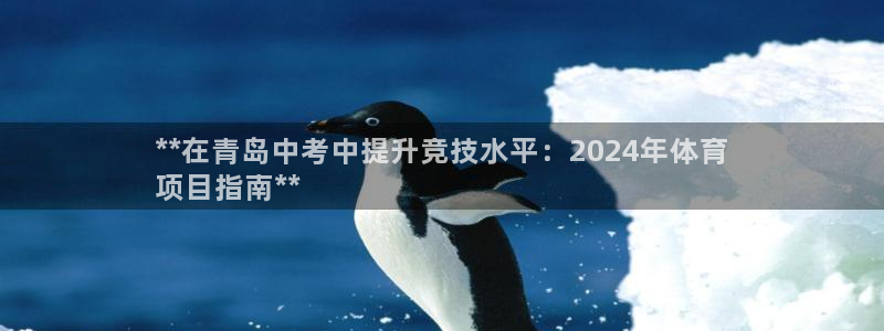 星欧娱乐的官方版本更新内容