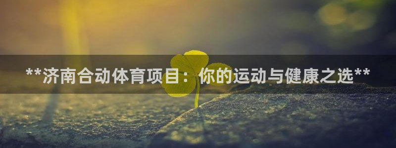 星奥娱乐集团