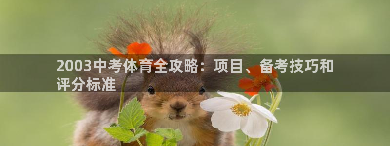 星欧娱乐雀V是什么平台