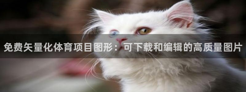 星奥娱乐集团股份有限公司官网