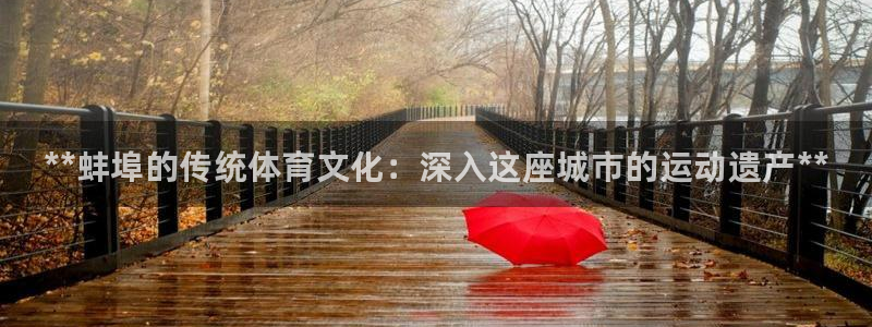 星欧娱乐联最新功能介绍