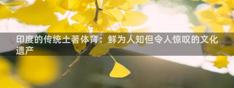 星欧娱乐扣款流程详解图高清