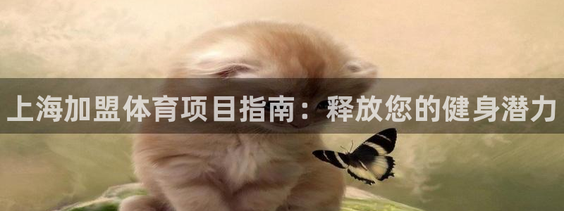 星奥娱乐怎么样