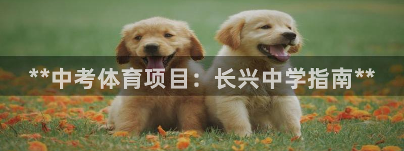 星欧娱乐app最新版本更新内容