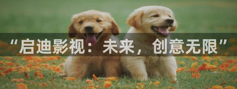 熊猫影院下载：“启迪影视：未来，创意无限”