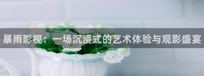 熊猫电影网站：暴雨影视：一场沉浸式的艺术体验与观影盛宴