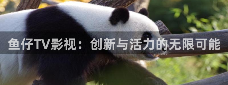熊猫影院tv在线播放：鱼仔TV影视：创新与活力的无限可能