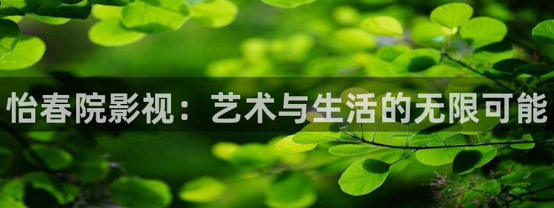 熊猫电影yy8y3(6)：怡春院影视：艺术与生活的无限可能