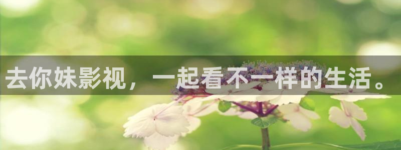 熊猫电影yy8y8高清版怎么看：去你妹影视，一起看不一样的生活。