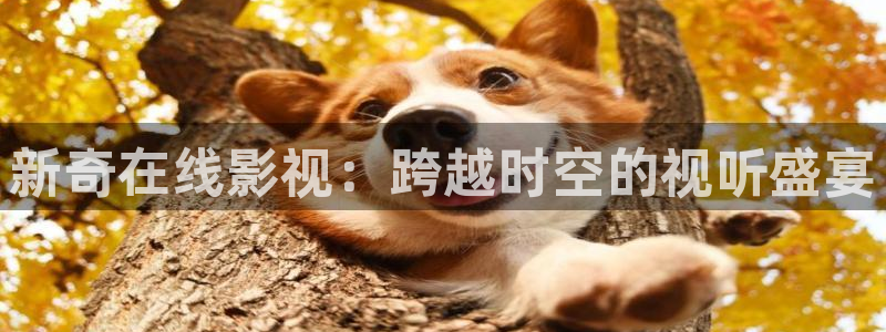 熊猫影院tv：新奇在线影视：跨越时空的视听盛宴
