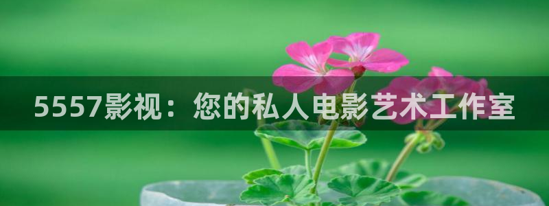 熊猫影院免费观看高清：5557影视：您的私人电影艺术工作室