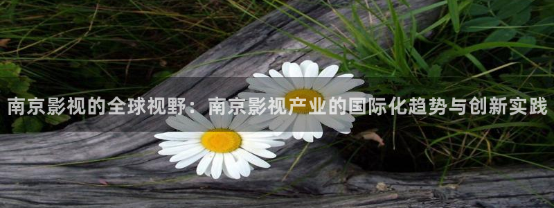 熊猫 电影：南京影视的全球视野：南京影视产业的国际化趋势与创新实践