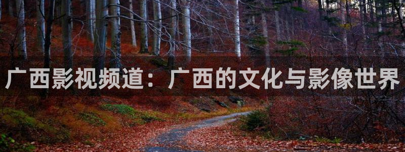 熊猫精品电影：广西影视频道：广西的文化与影像世界