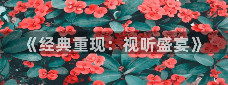 熊猫的价格：《经典重现：视听盛宴》